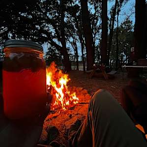 Hanscombe Point Plantation