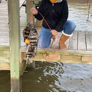 Sargent Island Fish ‘N’ Beach Camp
