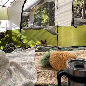 Enjoyed coffee in bed.
