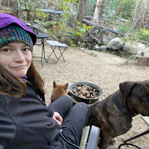 Tess and Django were competing for my love. It was fantastic.