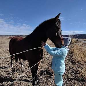 Quiet, open space on vintage ranch.