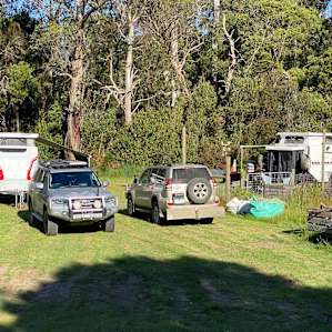 The Fern Glade, Murrundindi.