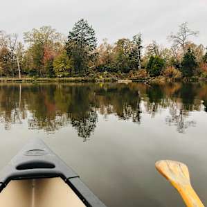 Canoeing on the lake with beautiful trees. We fit two adults and two toddlers in this one just fine.