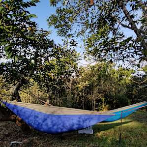 A great spot to hang hammocks.