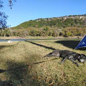 Bee Mountain River Camp (Tent Only)