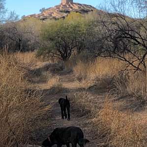 Tuzigoot is nearby.