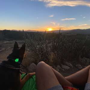 Between Palomar & Anza Borrego