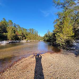 The Wandering Path #4