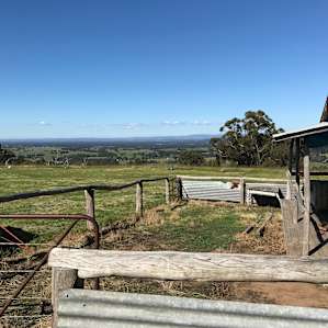View of the Valley from The Hut - November 2021