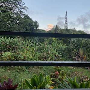 Hawaiian jungle escape -4WD