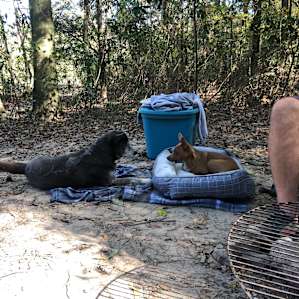 Camp Topisaw