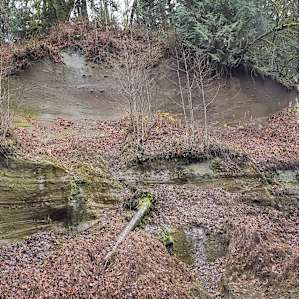 Huge cliff on opposite side of creek, adds to the seclusion.