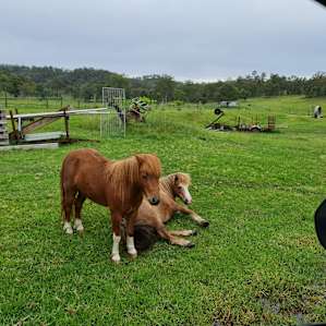 Glenaven Farm