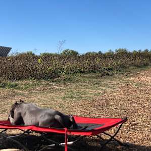 Summerset Farm Camp