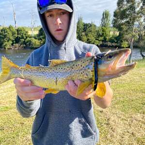 Ryelands Farm & Vineyard Camping