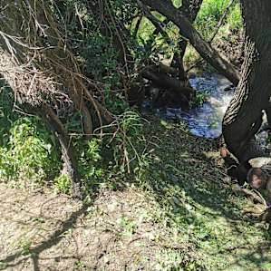 Private Bendy River Camp