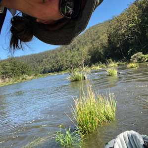 Black Mountain 4WD - The Ant Shack