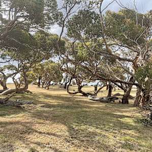 Parrara View