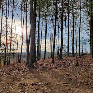 View from site 5