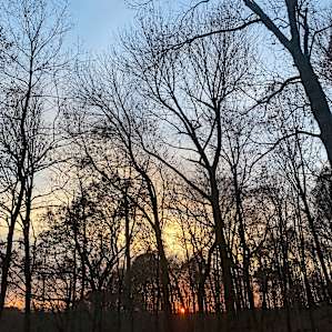 Sunrise