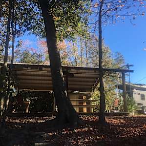View from creek up at awning