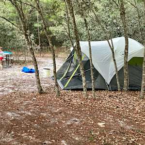 Loved our site under the pines