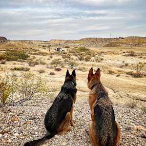 Coyote Crossing