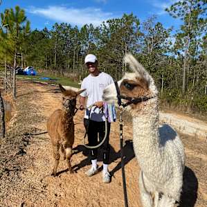 Llama & Alpaca encounters
