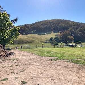 Nillawarre Woodland Camp- unpowered