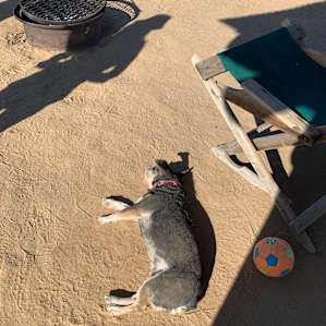 Songdog West Campsites