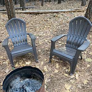 These comfy chairs inspire a bit of luxury to the scene.