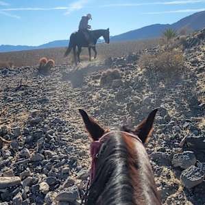 added on a horseback riding adventure and so glad i did