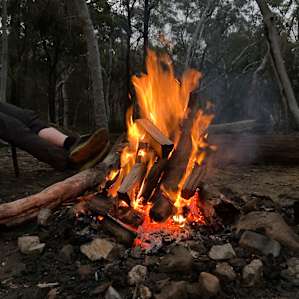 Ghost Gums at Bungonia Bush Camp