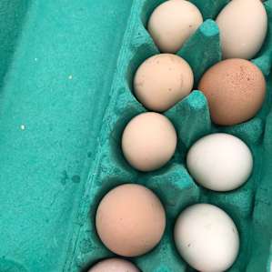 Some lovely fresh eggs supplied by the host! Thank you they were so delish.