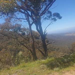 View from top of Mt Samaria