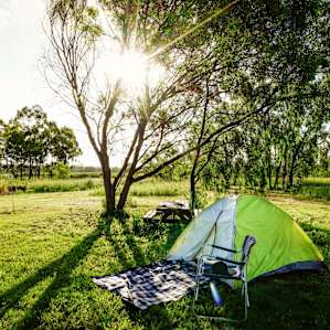 shady campsite