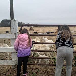 Circle G Farms