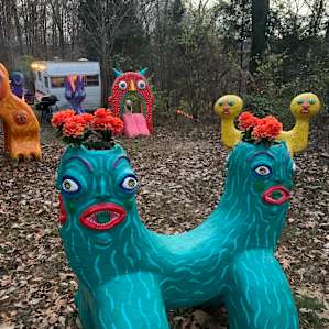 Creature Camp