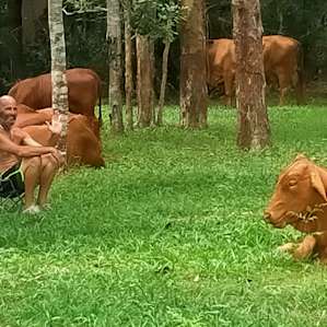 Bunya Ridge Nature Camp