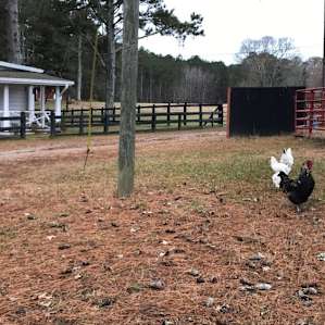 RV Boondocking on a Farm
