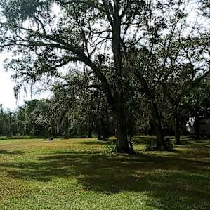 Smokey Acres Primitive Camp Site 2