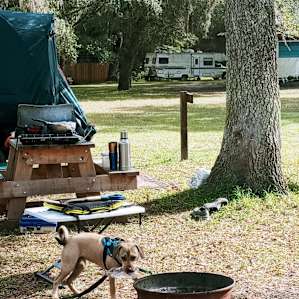 Smokey Acres Primitive Camp Site 2