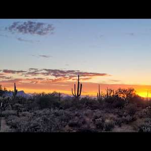 Wild Burro Desert Retreat