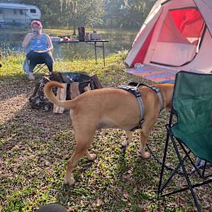 Smokey Acres Campsite 1