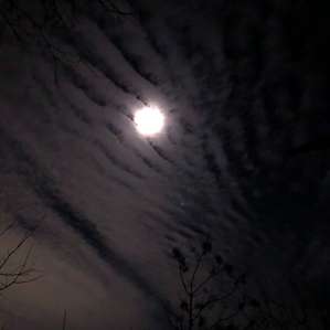 Moon light
