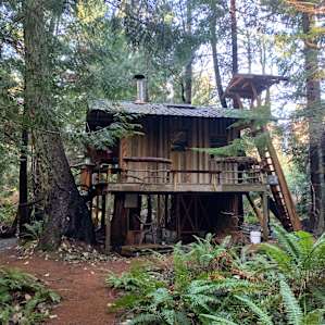Cozy Tiny House in the Woods