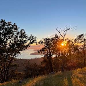 Flying fox lookout summit!