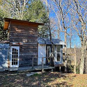 On the Beech Treehouse