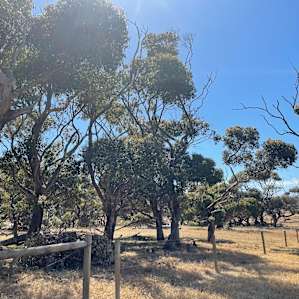 Parrara View