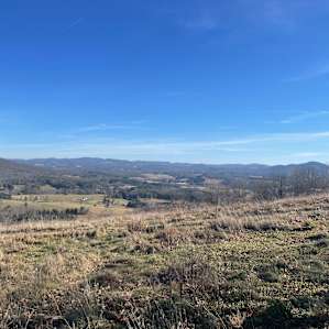 On top of the world in NW NC /Fog